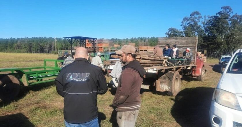 Detectan 20 trabajadores en condiciones de esclavitud laboral en un campo citrícola de Corrientes