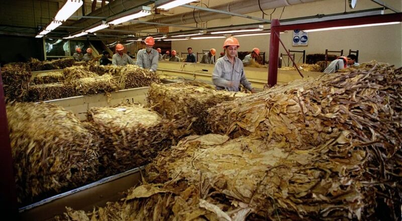 Trabajadores del Tabaco cierran unas súper paritarias y logran un básico de $ 1.400.000