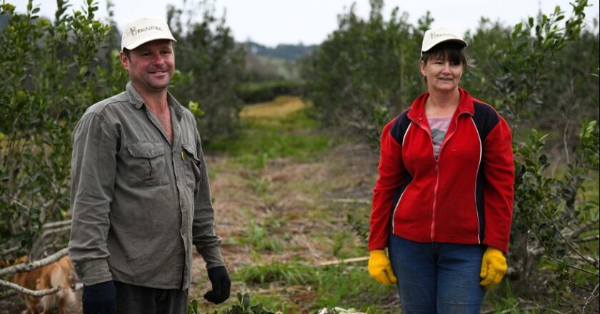 Apenas el 12,7% de quienes trabajan en el campo son mujeres