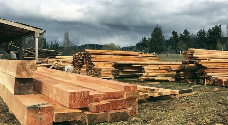 Por la caída en las ventas, Celulosa Argentina cerró el aserradero de pino San Charbel y despidió a sus 70 trabajadores