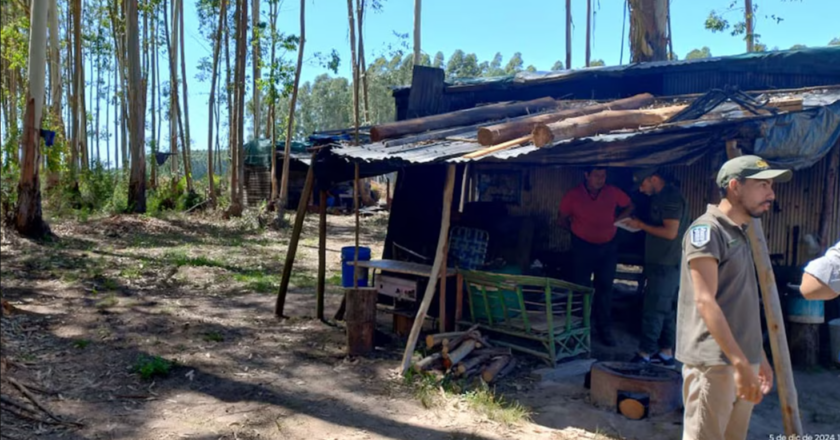 En Entre Ríos rescataron a cuatro trabajadores forestales, víctimas de trata laboral