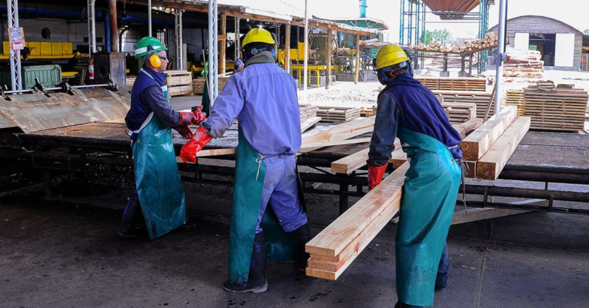 En 2024 hubo un total de 125.842 nuevos juicios laborales por Riesgos del Trabajo