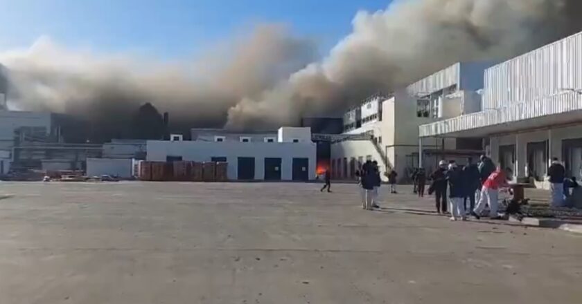 Incertidumbre laboral entre unos 500 trabajadores contratados del frigorífico Gorina que inició despidos tras un extraño incendio