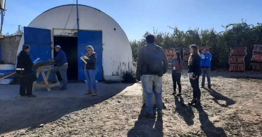 Clausuran una chacra en Rio Negro y encuentran trabajadores en condiciones de precariedad laboral