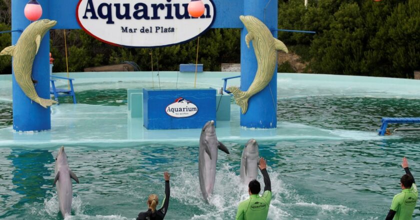 Anuncian el cierre del Aquarium de Mar del Plata y hay cerca de 200 empleos en riesgo